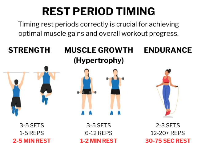 rest periods timing