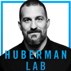 Huberman Lab poadcast